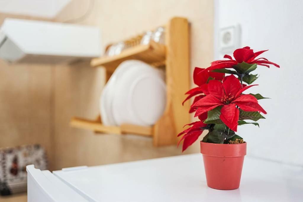 Apartamento Centro Vejer 베예데라프론테라 외부 사진